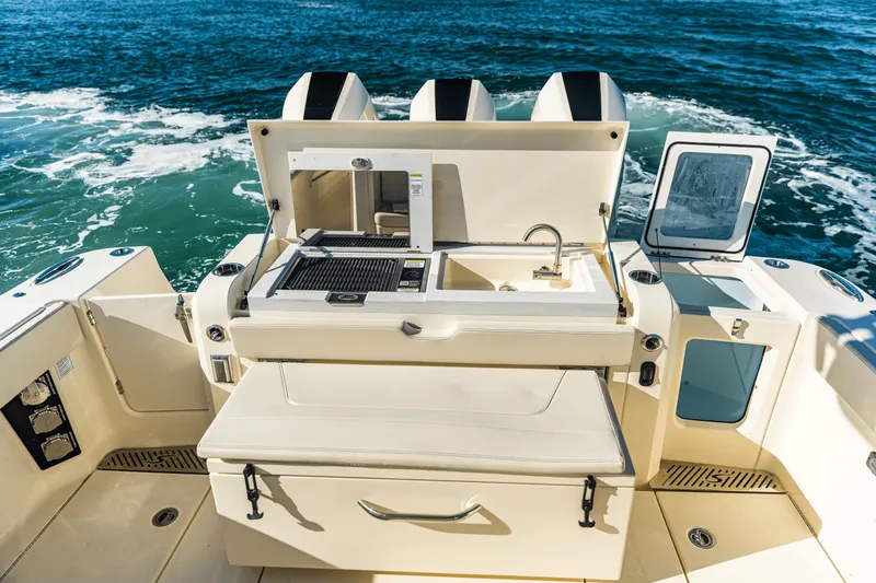 Slide: The Image of Scout 377 LXF 2025 - 13