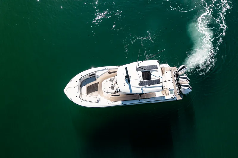 Slide: The Image of Scout 377 LXF 2025 - 2