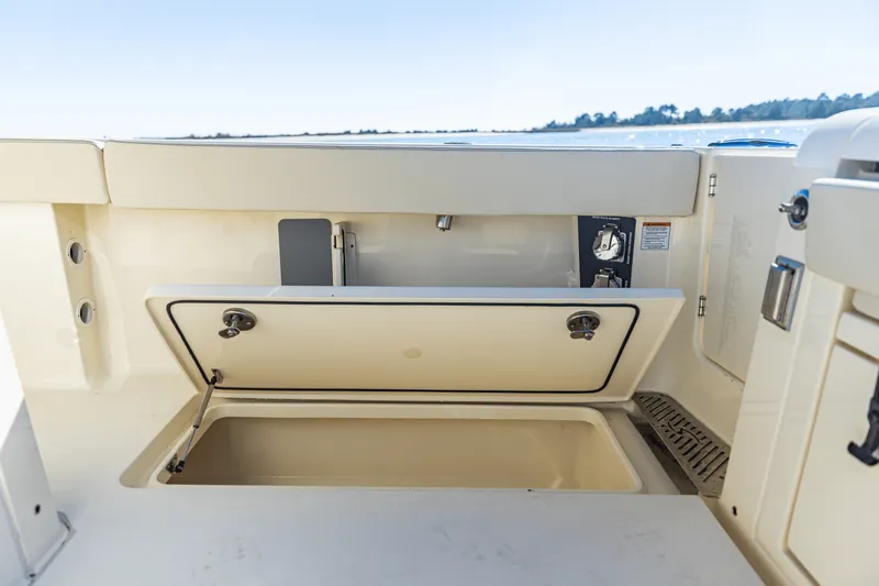 Slide: The Image of Scout 377 LXF 2025 - 24