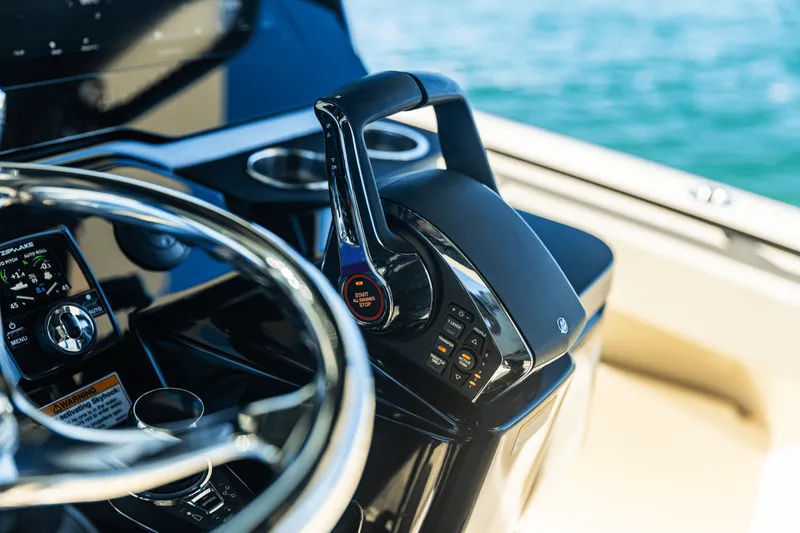 Slide: The Image of Scout 377 LXF 2025 - 32