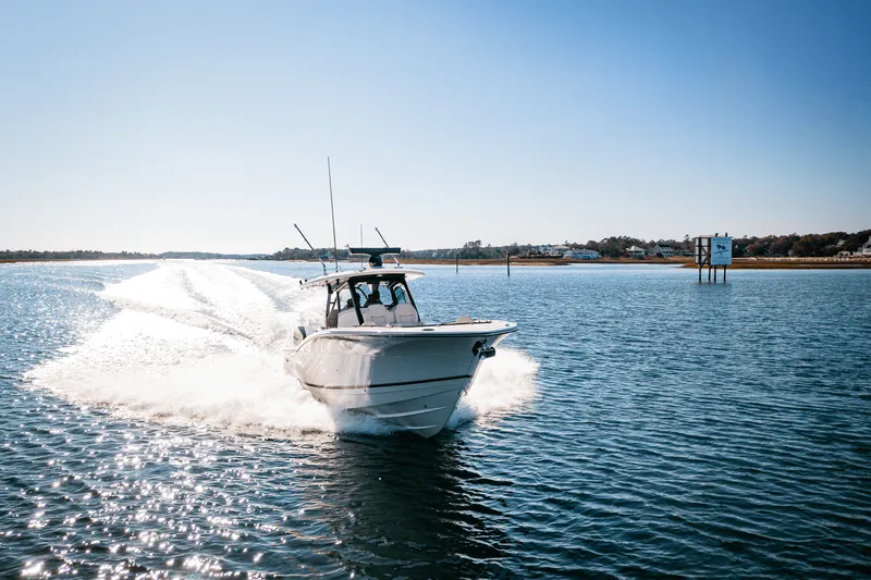 Slide: The Image of Scout 377 LXF 2025 - 5