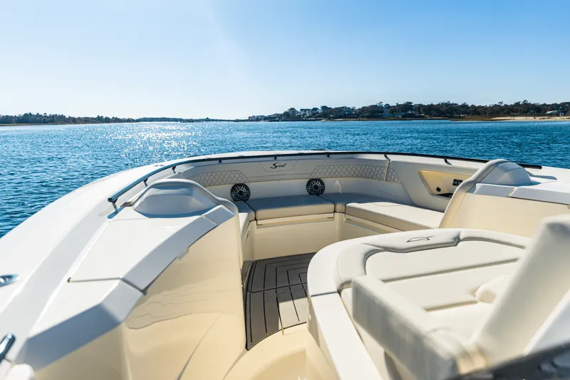 Slide: The Image of Scout 377 LXF 2025 - 53