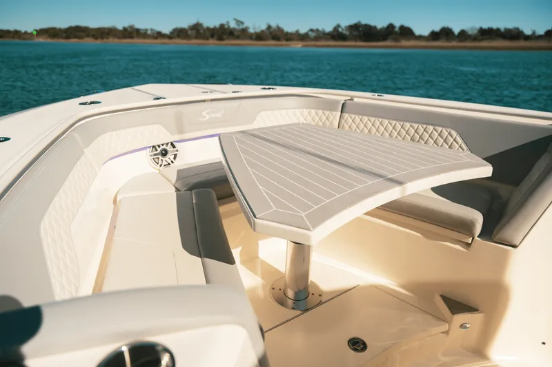 Slide: The Image of Scout 357 LXF 2025 - 38