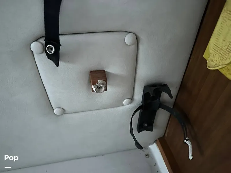 Slide: The Image of Sea Ray 340 Sundancer 1986 - 13210622