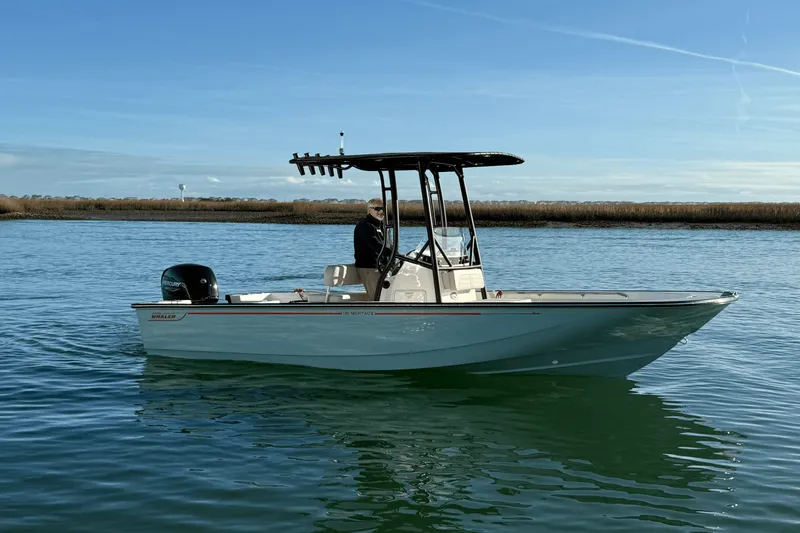 Slide: The Image of Boston Whaler 190 Montauk 2025 - 0