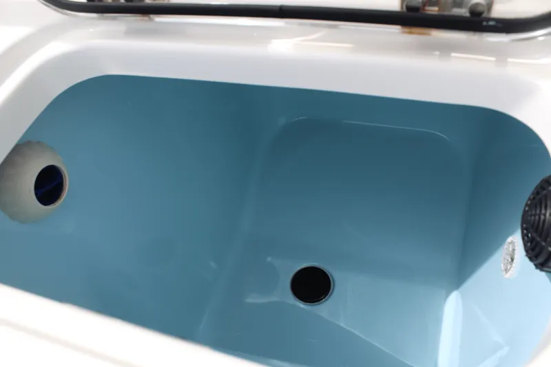 Slide: The Image of Boston Whaler 250 OUTRAGE 2024 - 47