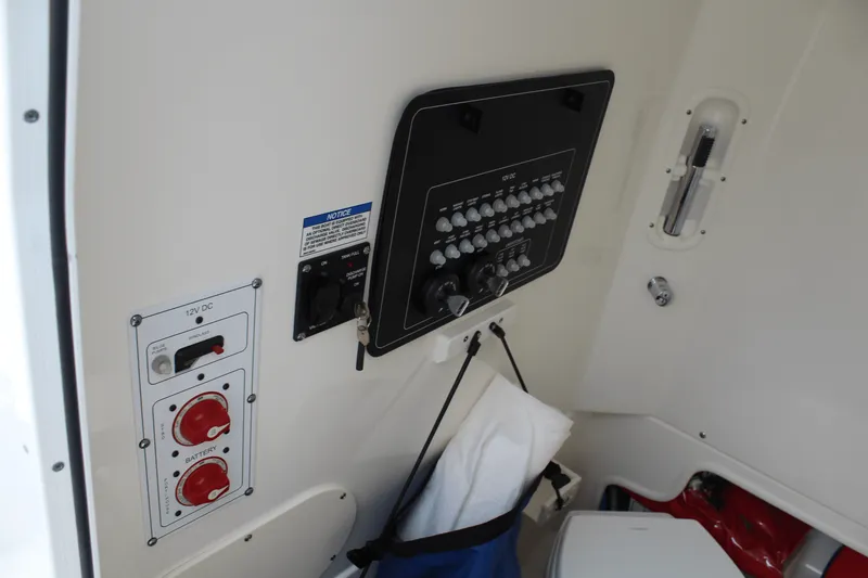 Slide: The Image of Boston Whaler 250 OUTRAGE 2024 - 49