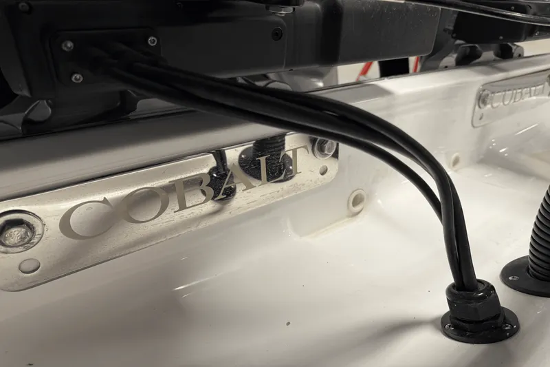 Slide: The Image of Cobalt R8 Outboard 2025 - 27