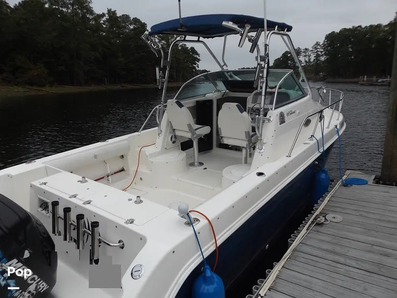 The Image of Wellcraft 270 Coastal 1999 - 13285515