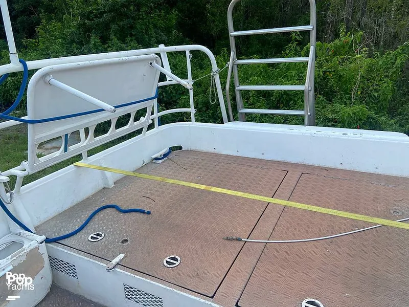 Slide: The Image of Munson 32 1986 - 13247883