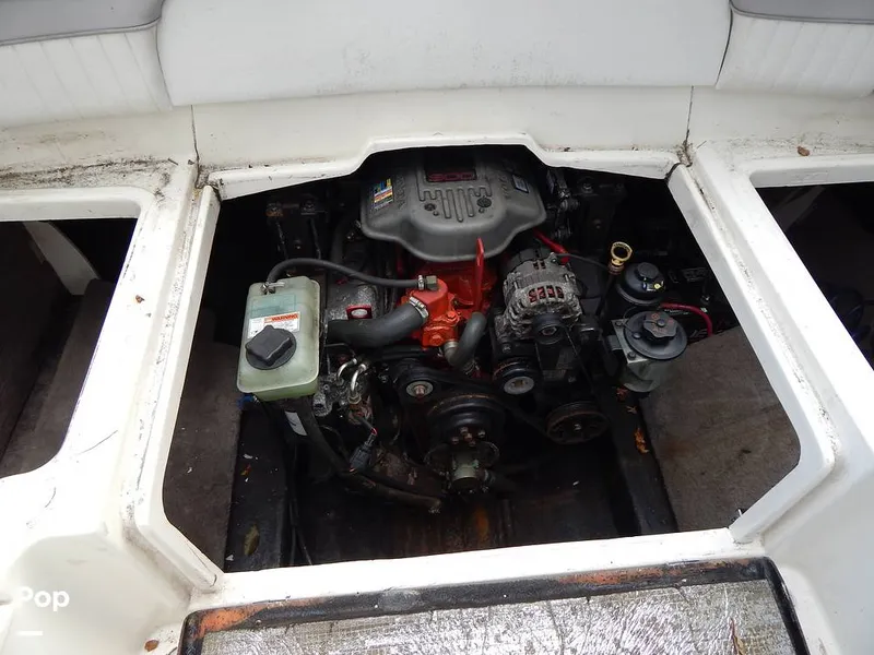 Slide: The Image of Stingray 250 CR 2008 - 13534526