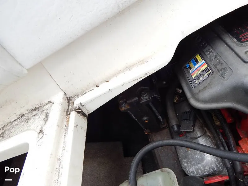 Slide: The Image of Stingray 250 CR 2008 - 13534529