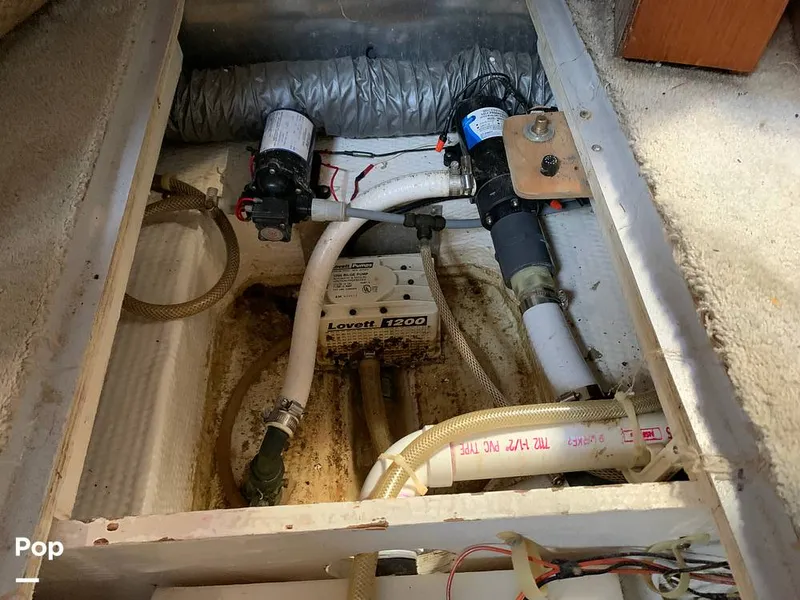 Slide: The Image of Macerator - 13283700