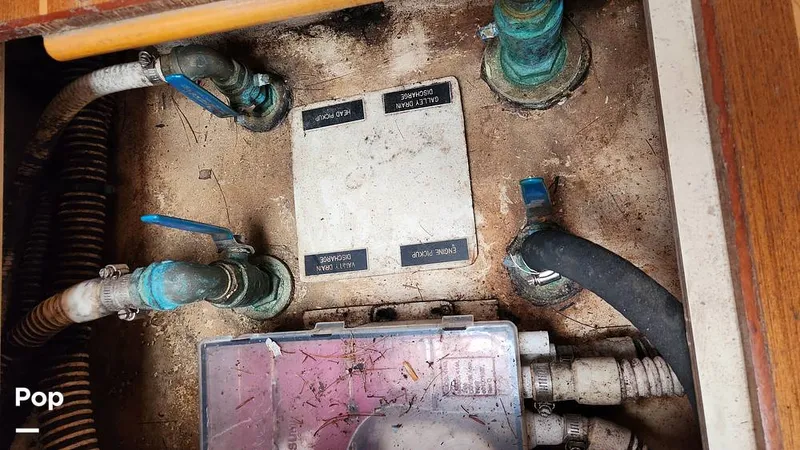 Slide: The Image of Hunter 356 2003 - 13806816