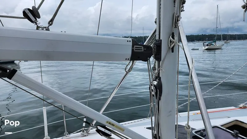 Slide: The Image of Hunter 356 2003 - 14889176