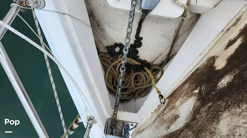 Slide: The Image of Hunter 356 2003 - 14889185