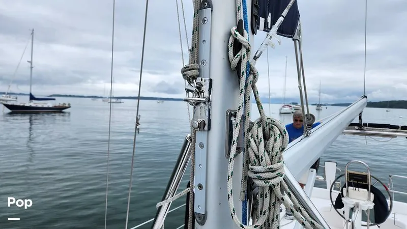 Slide: The Image of Hunter 356 2003 - 14889191