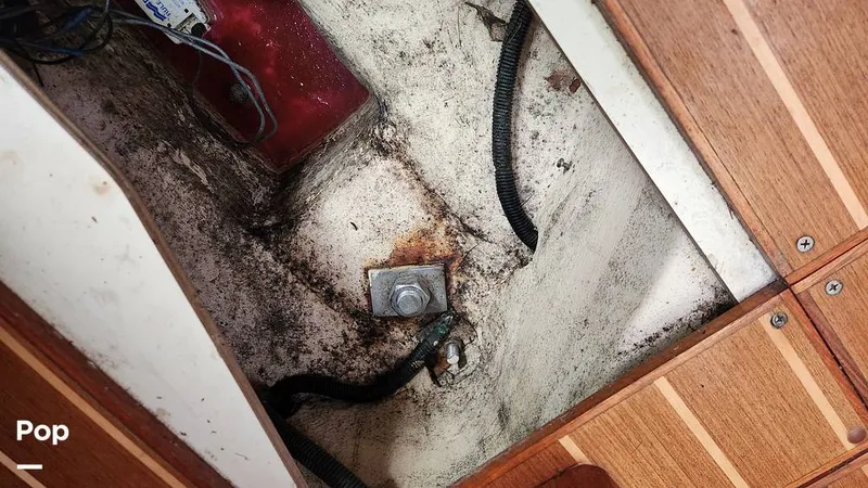 Slide: The Image of Hunter 356 2003 - 13806699