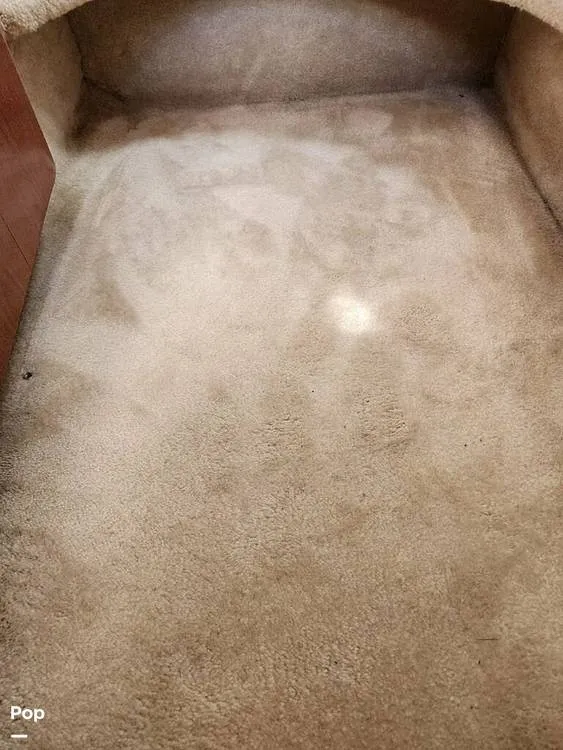 Slide: The Image of Regal Commodore 2765 2005 - 14344042