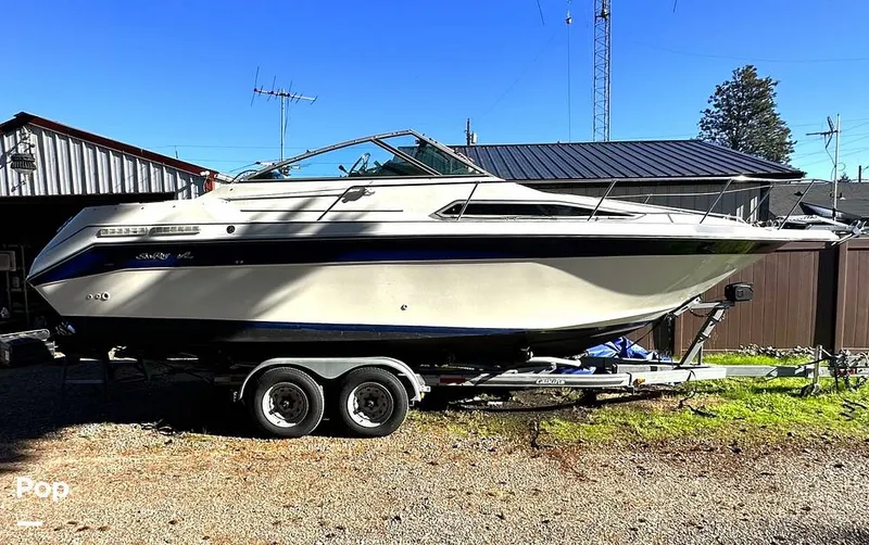 The Image of Sea Ray 250 Sundancer 1989 - 13383876