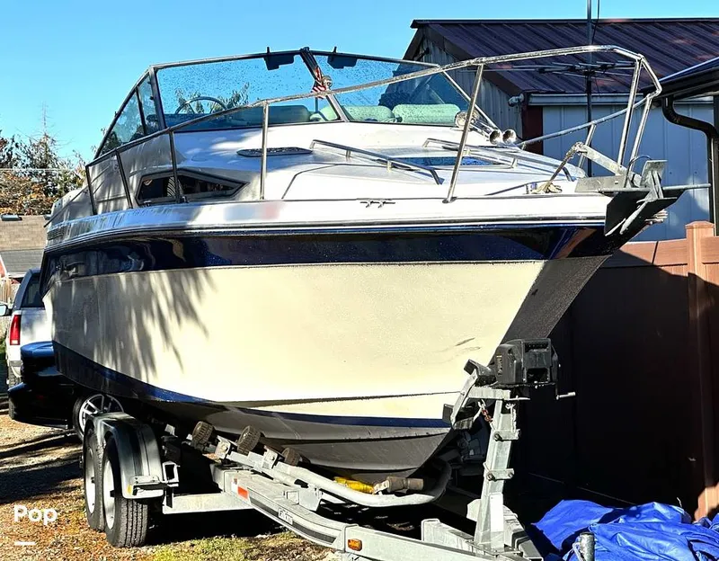 Slide: The Image of Sea Ray 250 Sundancer 1989 - 13383972