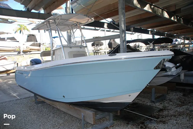 Slide: The Image of Cobia 220 CC 2018 - 13432197