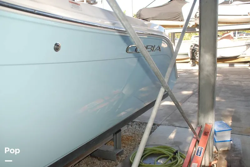 Slide: The Image of Cobia 220 CC 2018 - 13432226