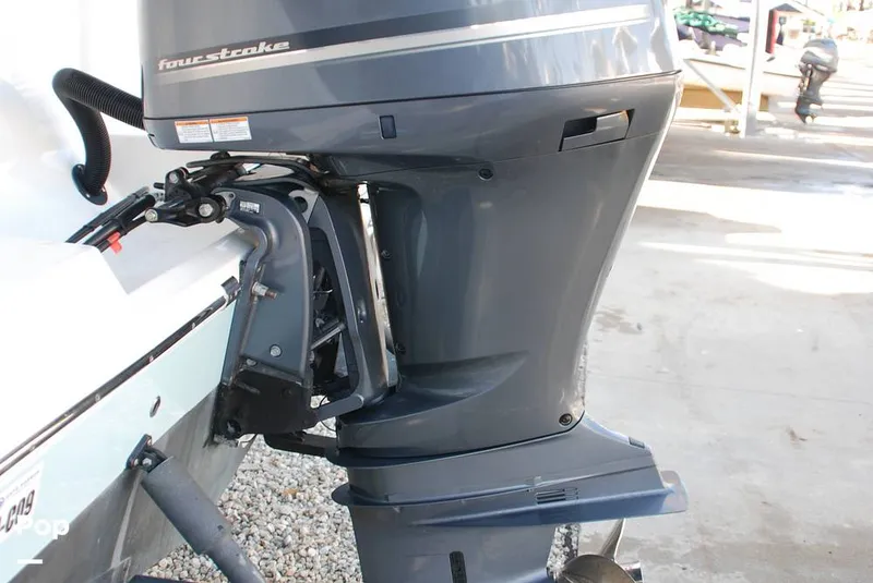 Slide: The Image of Cobia 220 CC 2018 - 13432228