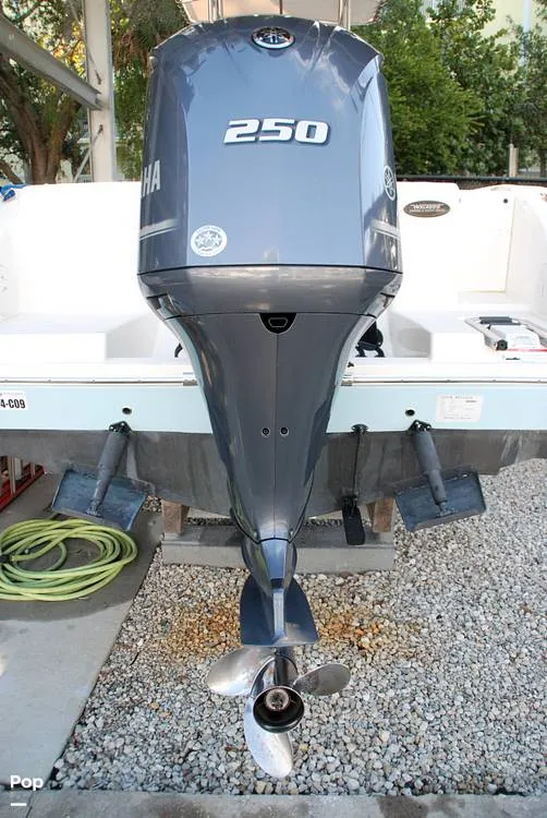 Slide: The Image of Cobia 220 CC 2018 - 13432230