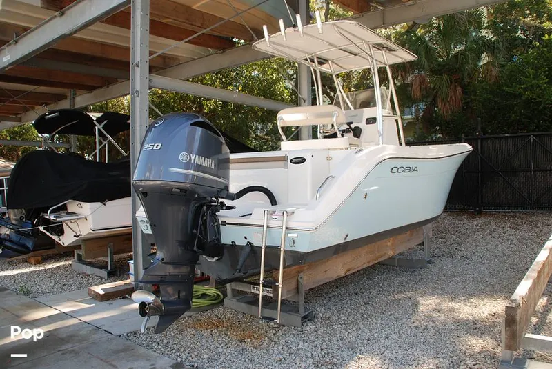 Slide: The Image of Cobia 220 CC 2018 - 13432254