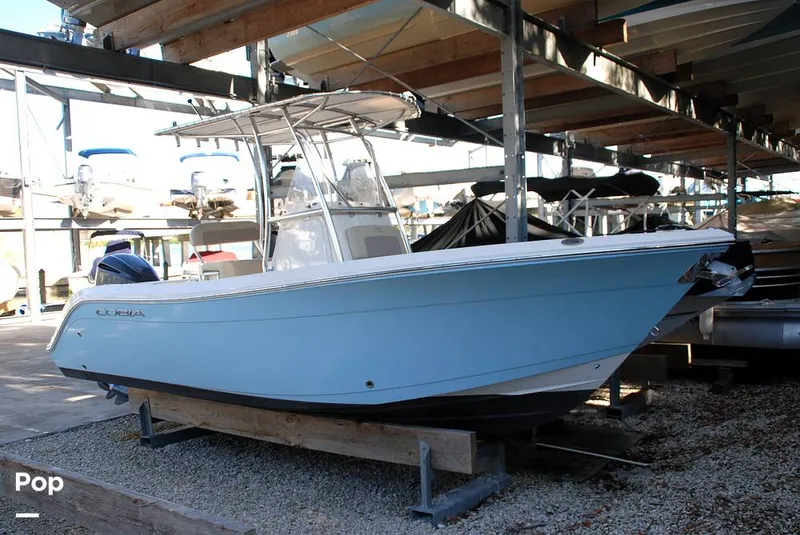 Slide: The Image of Cobia 220 CC 2018 - 13432244