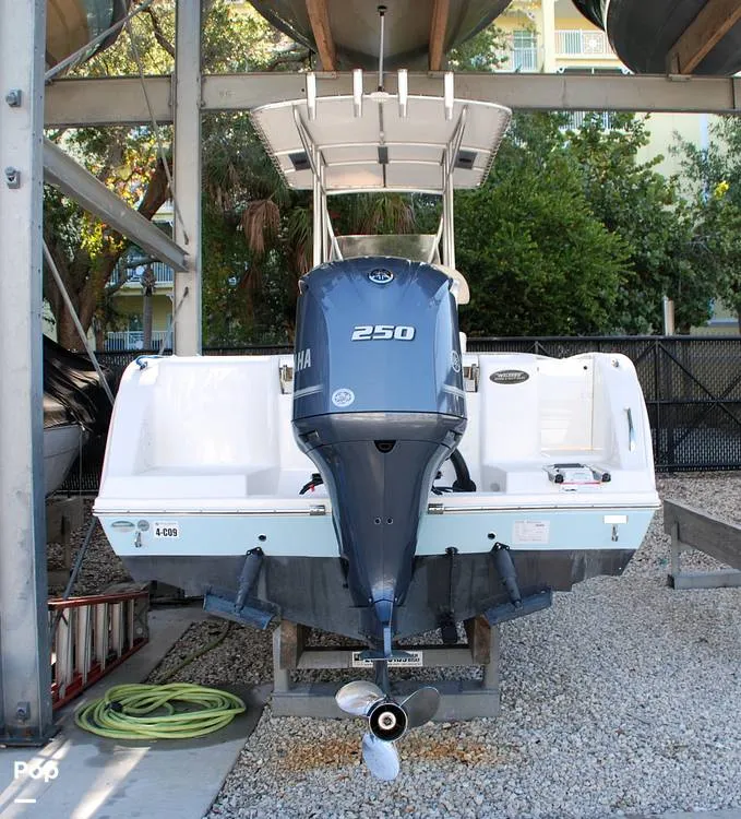 Slide: The Image of Cobia 220 CC 2018 - 13439554