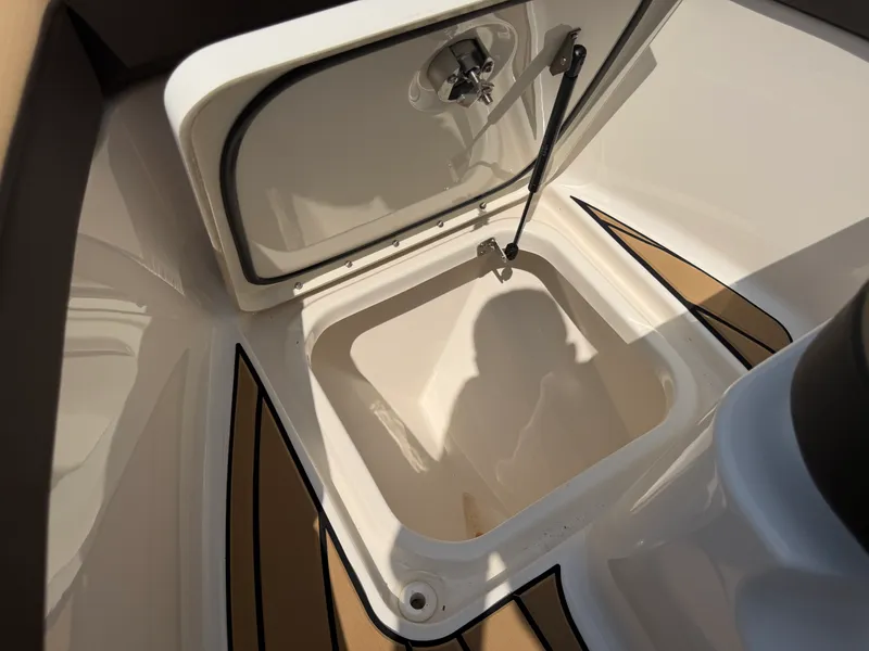 Slide: The Image of Sea Ray SDX 250 Outboard 2026 - 73
