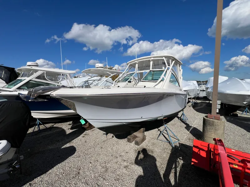 The Image of Sailfish 245 DC 2023 - 0