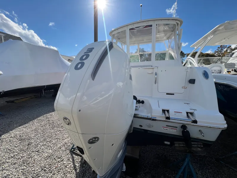 Slide: The Image of Sailfish 245 DC 2023 - 5