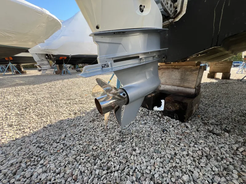 Slide: The Image of Sailfish 245 DC 2023 - 6