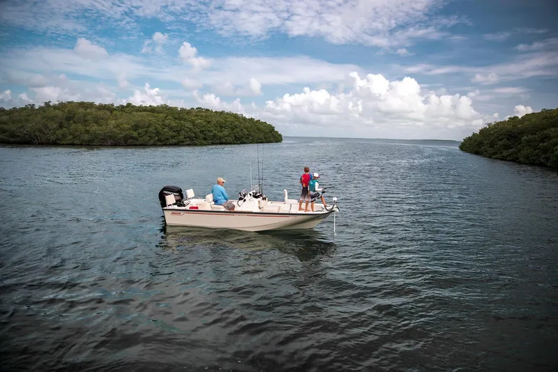 Slide: The Image of Boston Whaler 170 Montauk 2026 - 1