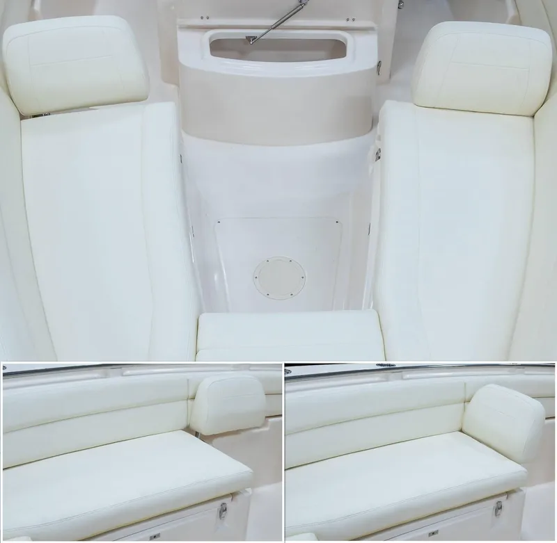 Slide: The Image of Grady-White Canyon 271 2025 - 7