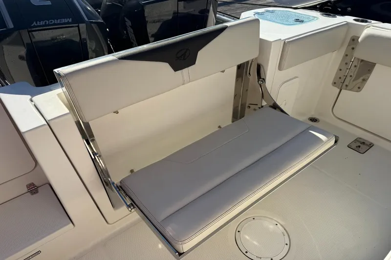 Slide: The Image of Sailfish 272 CC 2022 - 10