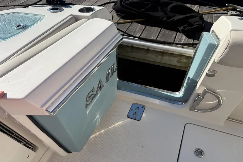 Slide: The Image of Sailfish 272 CC 2022 - 12