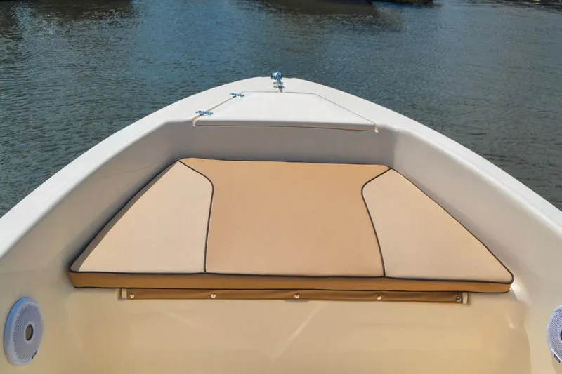 Slide: The Image of Scout 175 Sport Dorado 2026 - 14