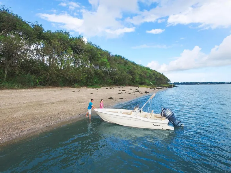 Slide: The Image of Scout 175 Sport Dorado 2026 - 5