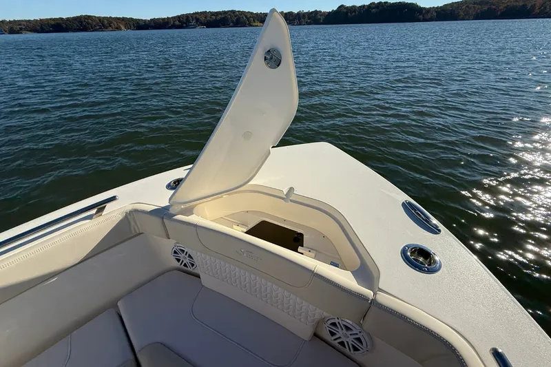 Slide: The Image of Scout 240 XSF 2026 - 33