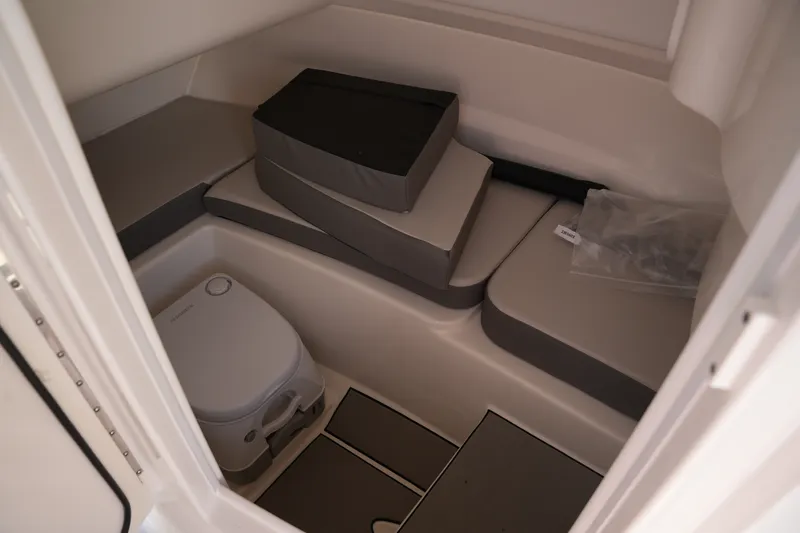 Slide: The Image of Sea Ray SDX 230 2026 - 22