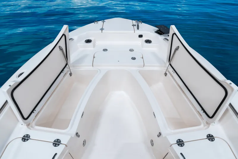 Slide: The Image of Grady-White 251 CE 2026 - 11