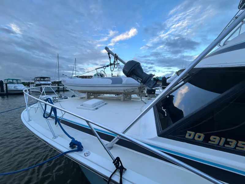 Slide: The Image of Bertram 46 1985 - 15