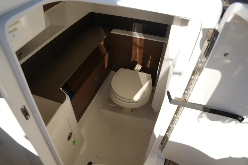 Slide: The Image of Sea Ray SDX 290 2026 - 31