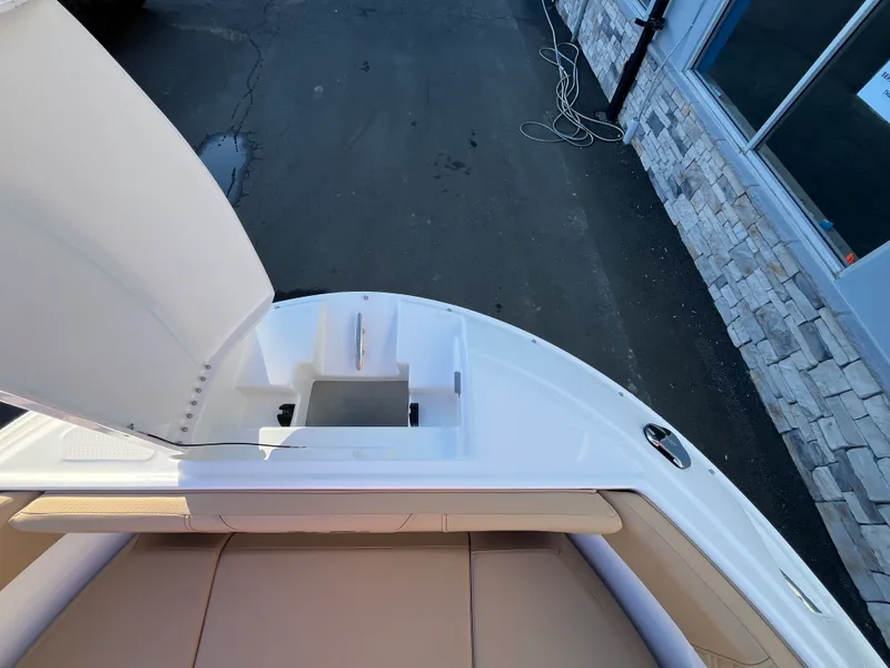 Slide: The Image of Sea Ray SDX 250 Outboard 2026 - 20