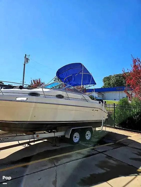 The Image of Sea Ray 250 Sundancer 1996 - 13418346