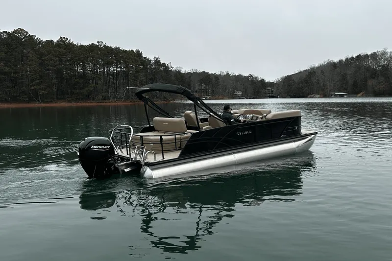 Slide: The Image of Sylvan MIRAGE 822 2025 - 10